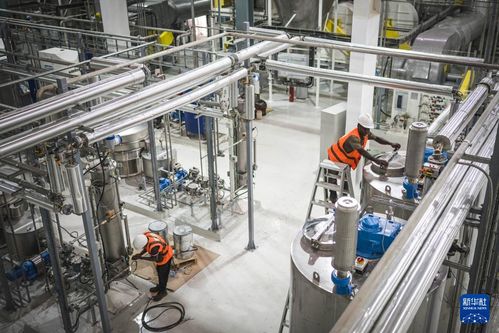 共話中國經濟新機遇 中企助力西非可可王國產業升級